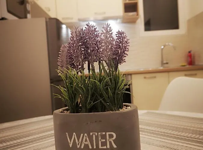 Apartment Melita