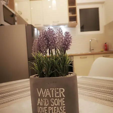 Apartment Melita